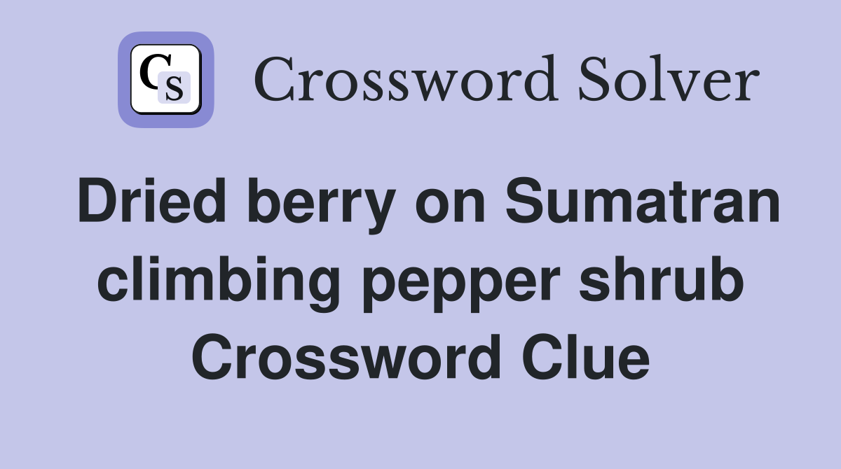 Dried berry on Sumatran climbing pepper shrub Crossword Clue