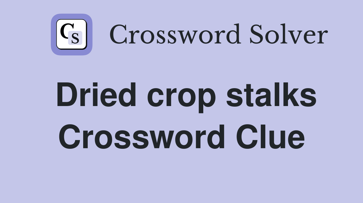 Dried crop stalks Crossword Clue