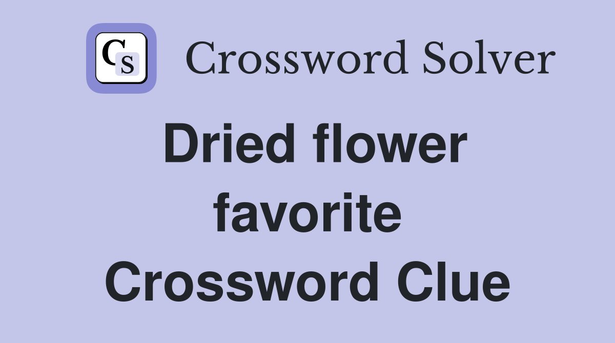 Dried flower favorite Crossword Clue