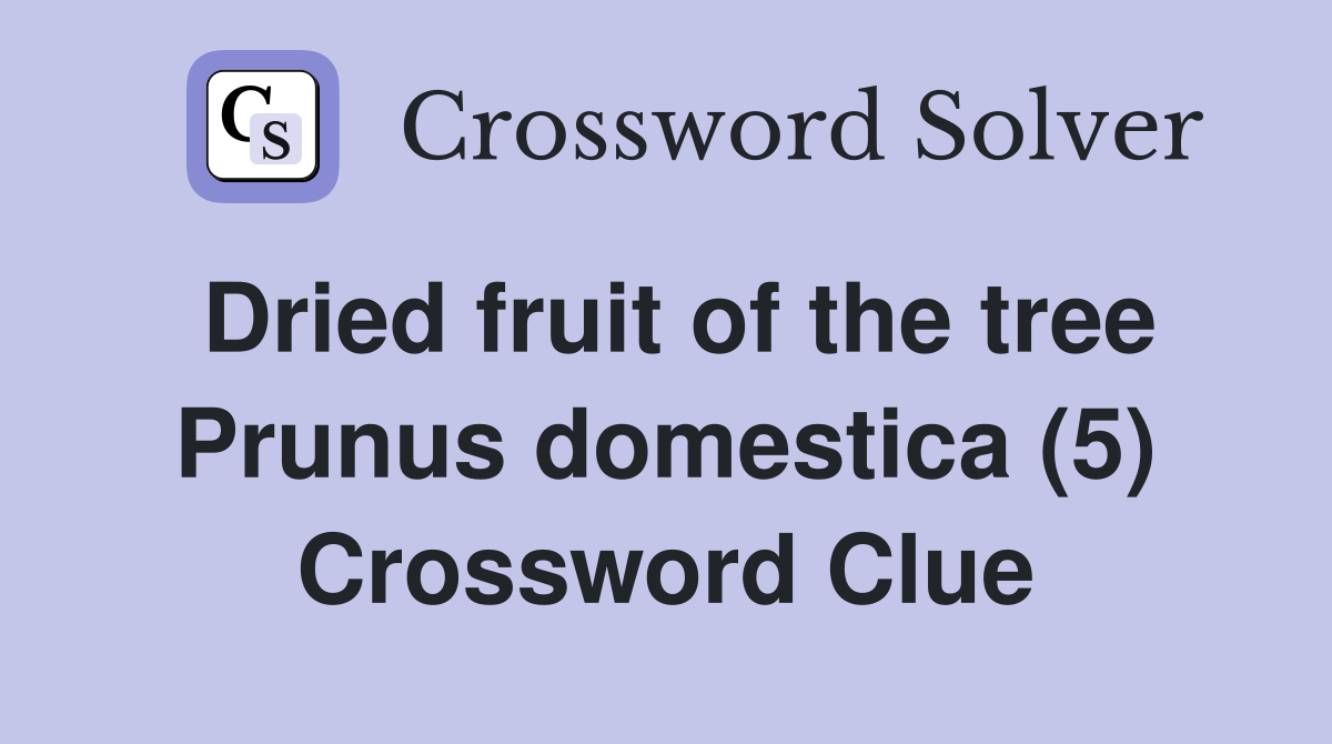 Dried fruit of the tree Prunus domestica (5) Crossword Clue