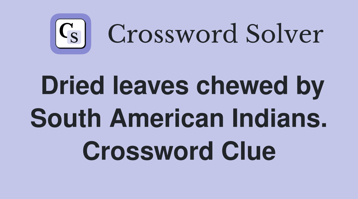 Dried leaves chewed by South American Indians. Crossword Clue