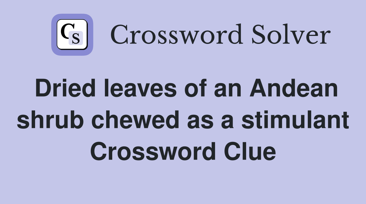 Dried leaves of an Andean shrub chewed as a stimulant Crossword Clue