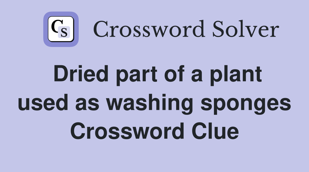 Dried part of a plant used as washing sponges Crossword Clue