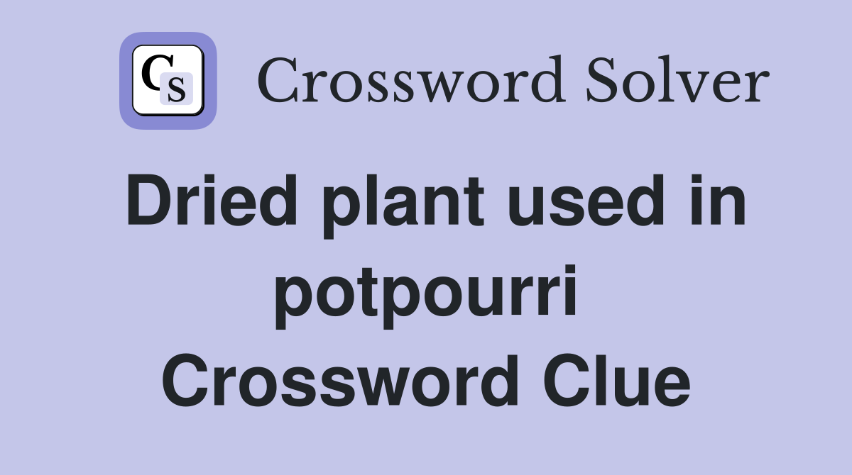 Dried plant used in potpourri Crossword Clue