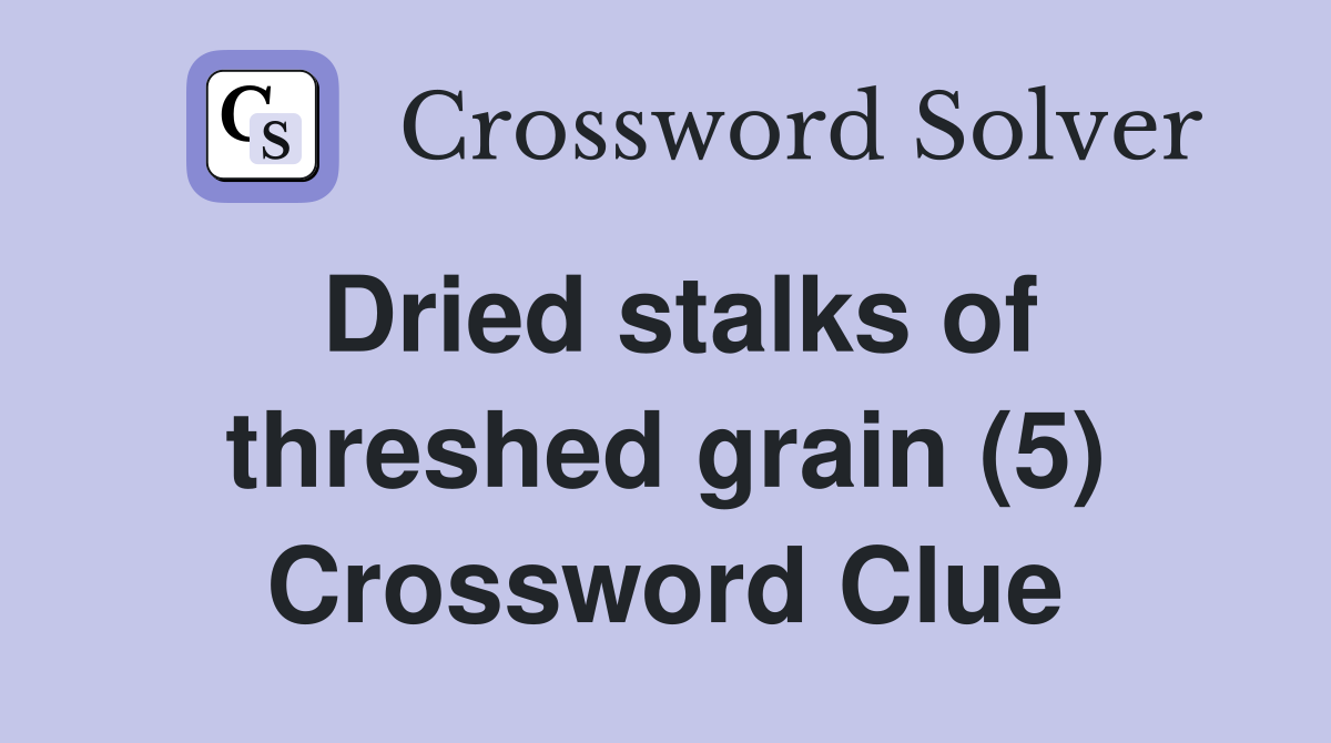 Dried stalks of threshed grain (5) Crossword Clue