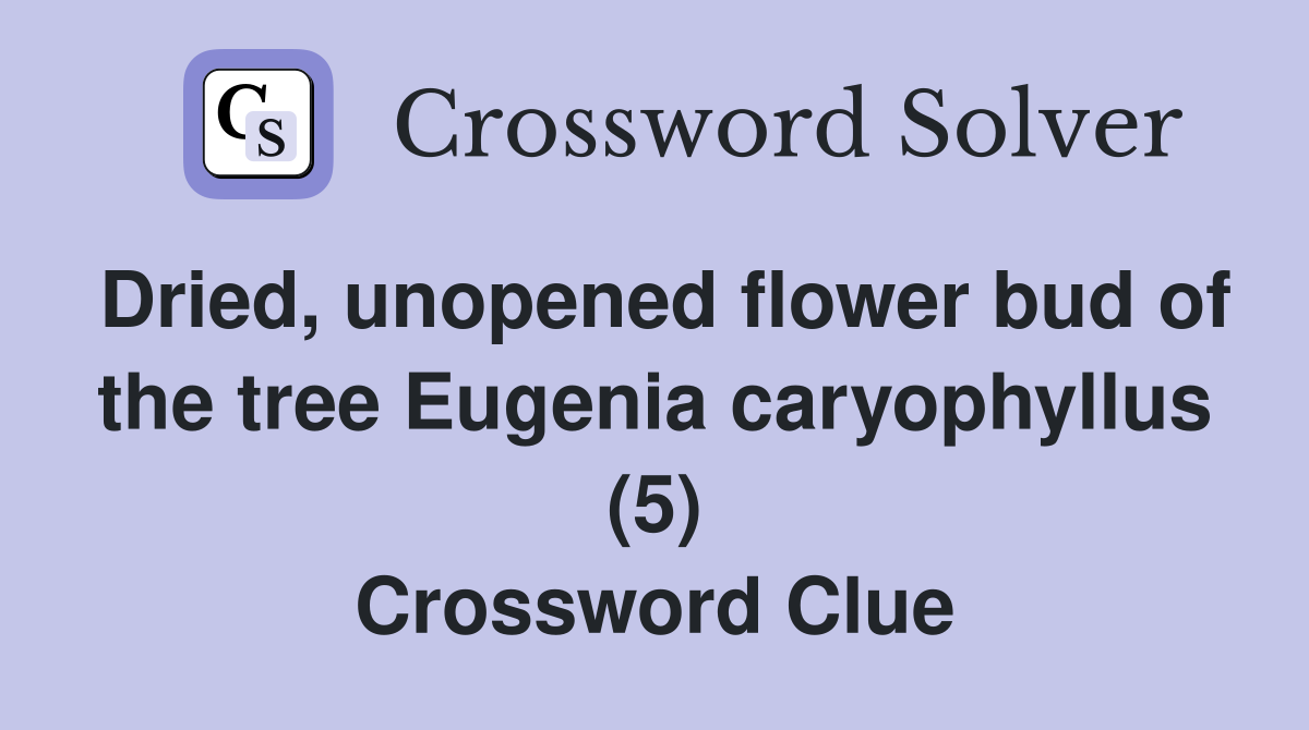 Dried, unopened flower bud of the tree Eugenia caryophyllus (5) Crossword Clue