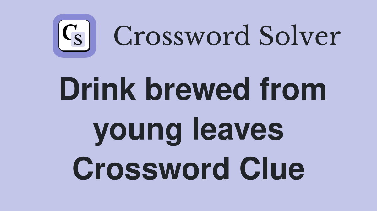 Drink brewed from young leaves Crossword Clue