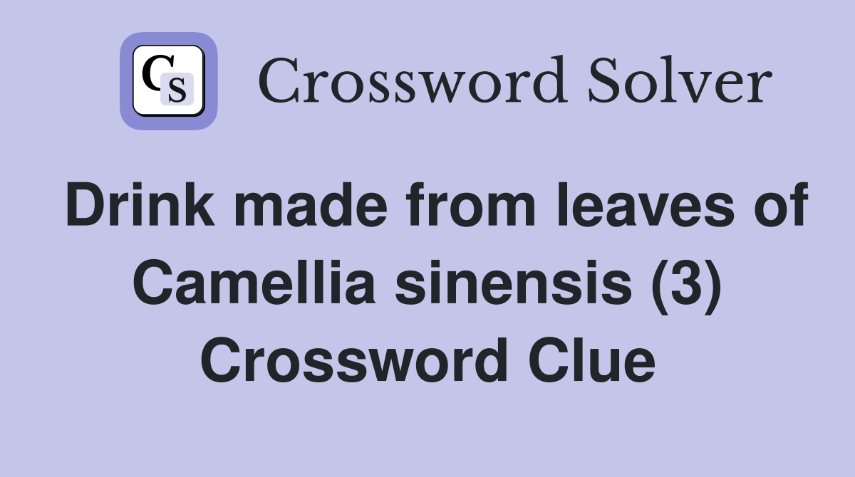 Drink made from leaves of Camellia sinensis (3) Crossword Clue
