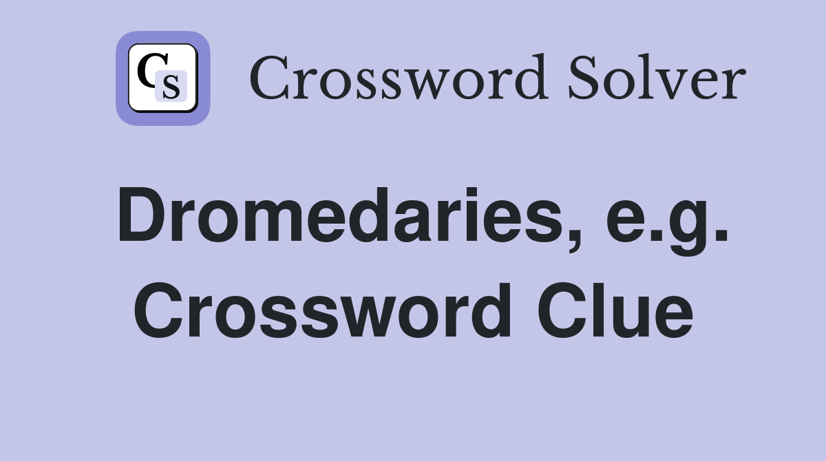 Dromedaries, e.g. Crossword Clue