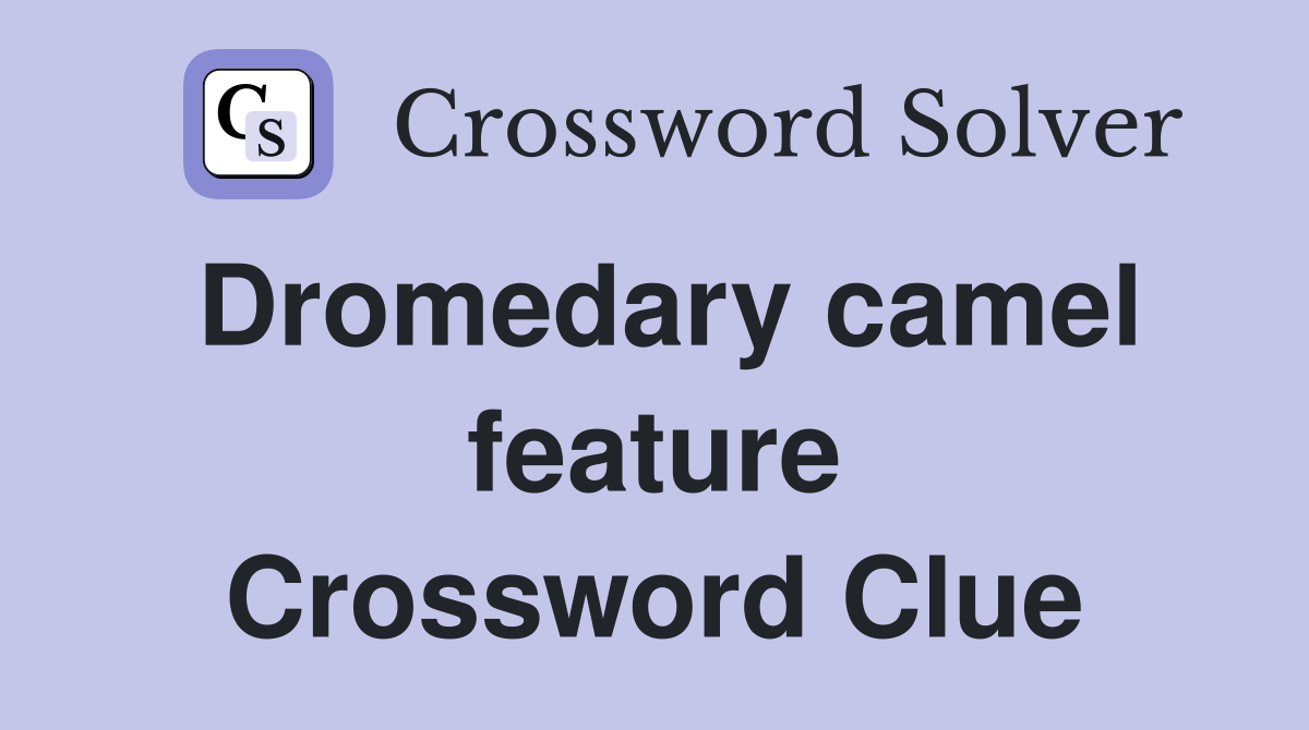 Dromedary camel feature Crossword Clue