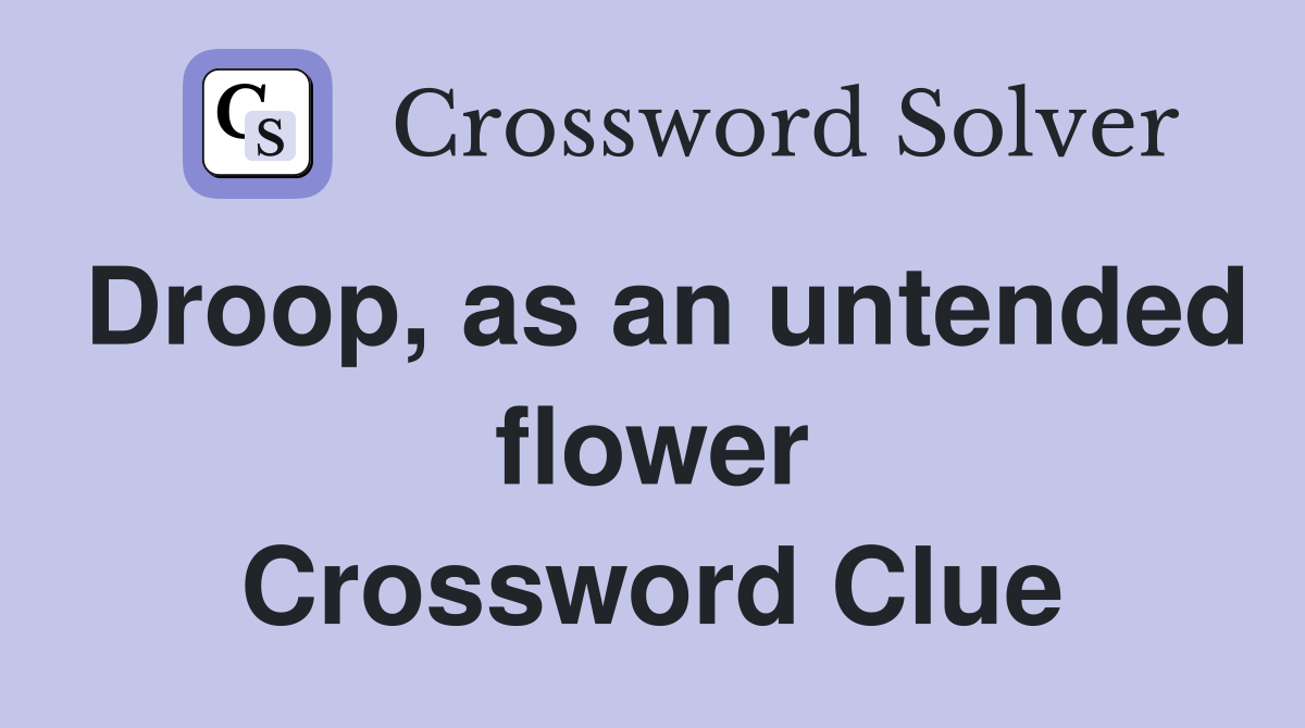 Droop, as an untended flower Crossword Clue