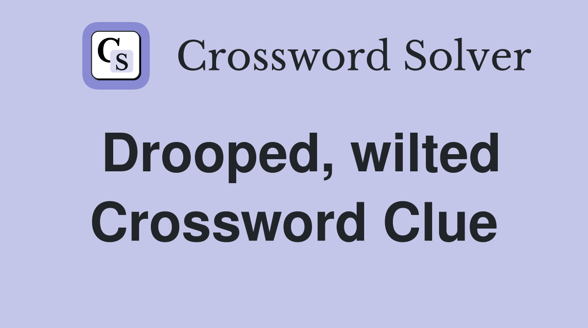Drooped, wilted Crossword Clue