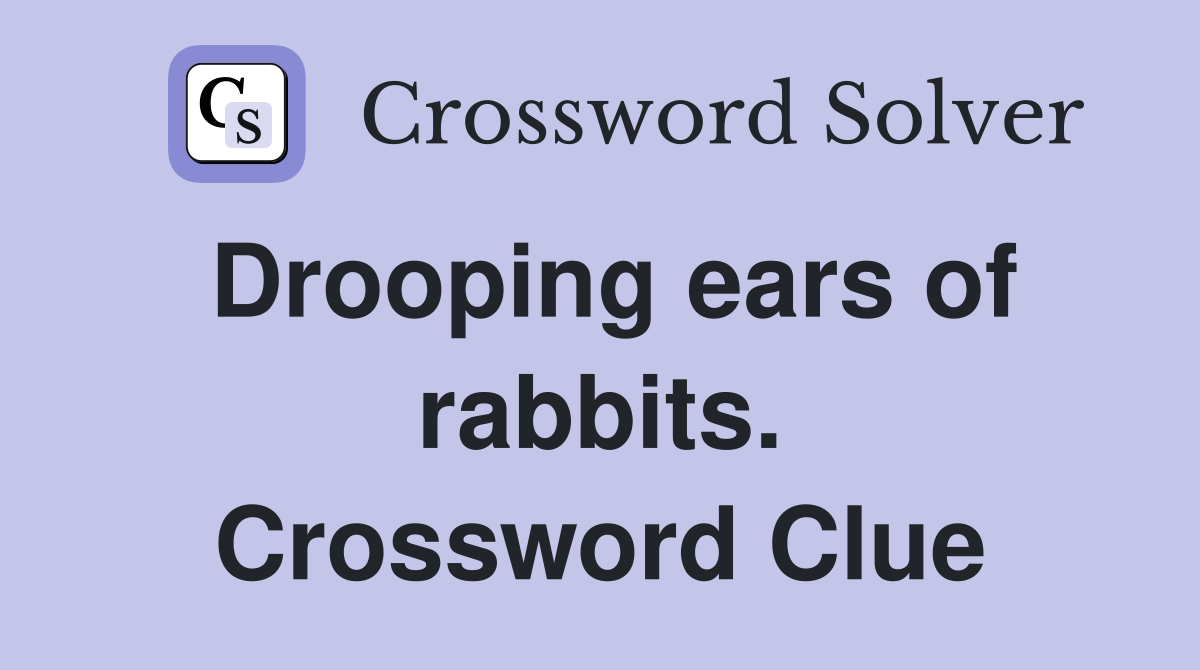 Drooping ears of rabbits. Crossword Clue