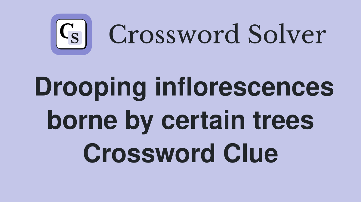 Drooping inflorescences borne by certain trees Crossword Clue