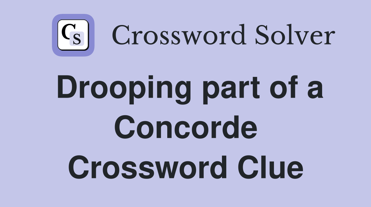 Drooping part of a Concorde Crossword Clue