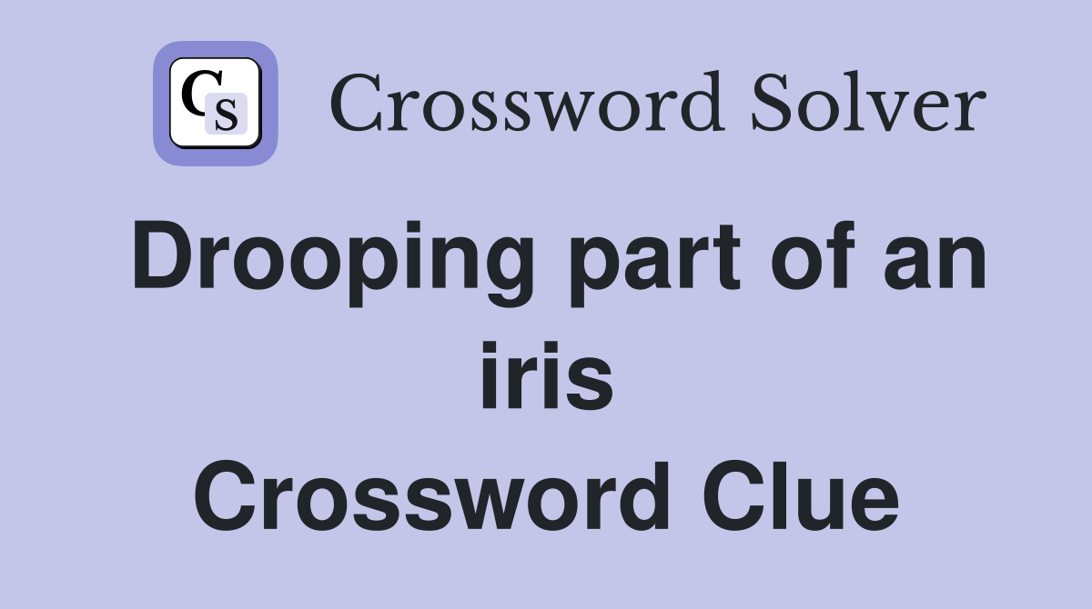 Drooping part of an iris Crossword Clue