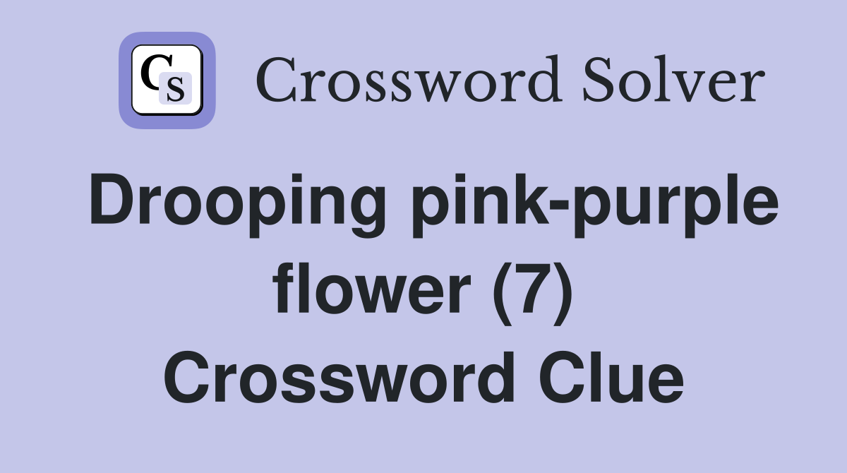 Drooping pink-purple flower (7) Crossword Clue