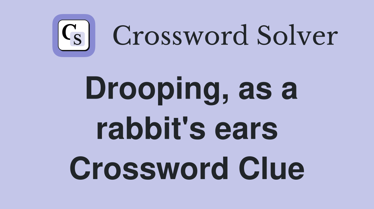 Drooping, as a rabbit's ears Crossword Clue