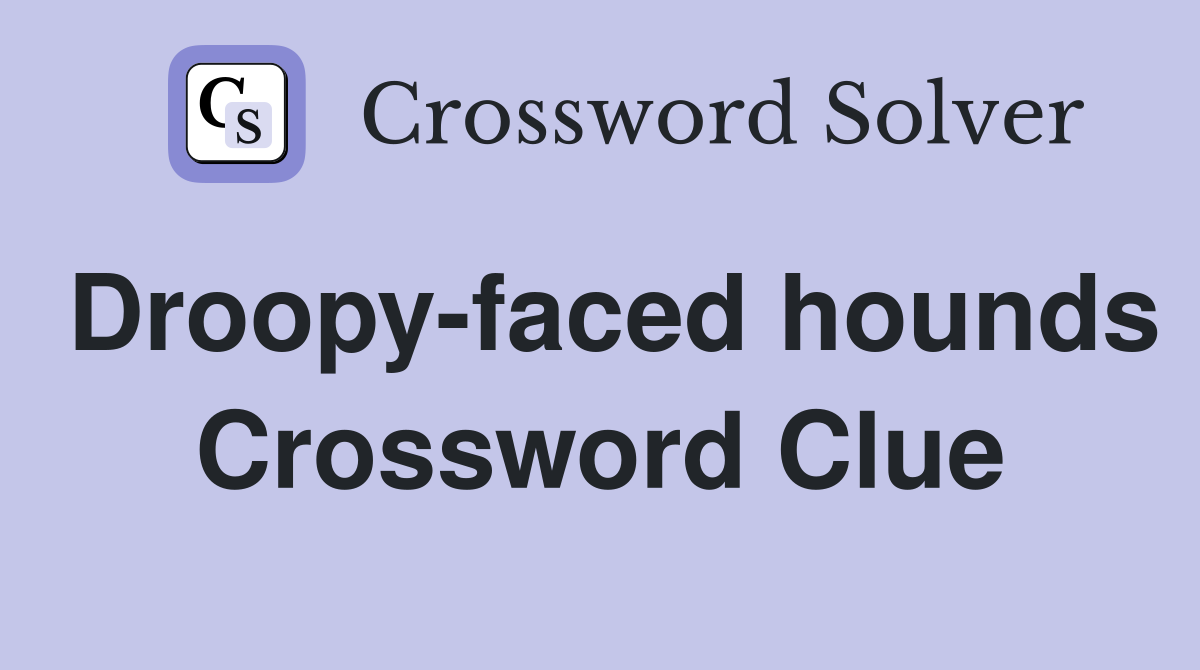 Droopy-faced hounds Crossword Clue