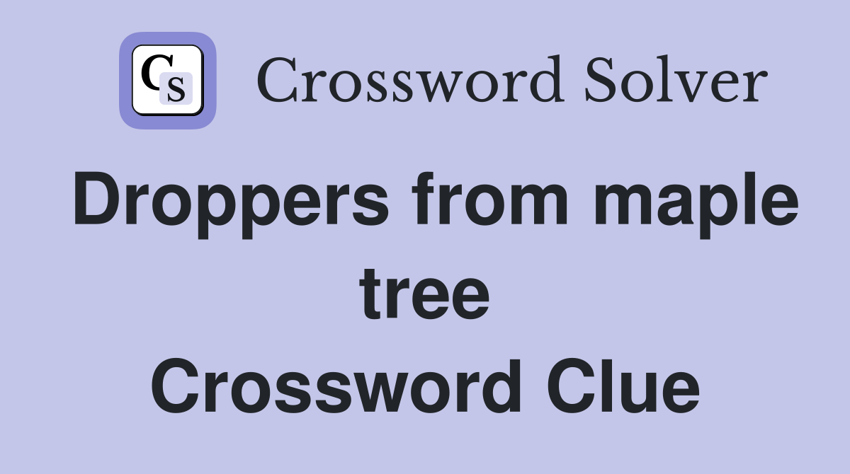 Droppers from maple tree Crossword Clue