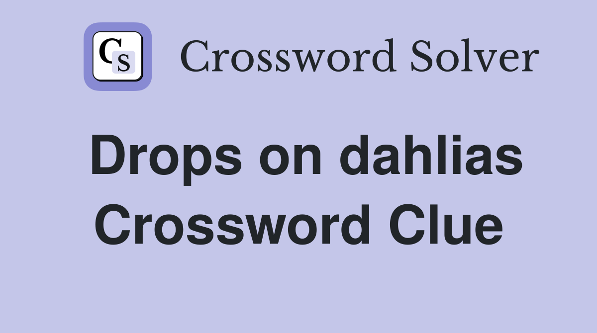 Drops on dahlias Crossword Clue