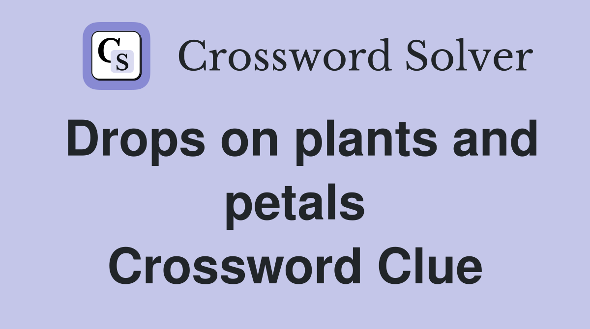 Drops on plants and petals Crossword Clue