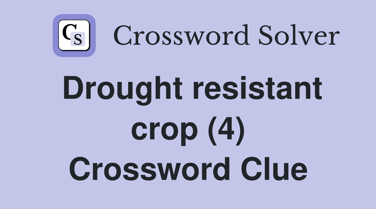 Drought resistant crop (4) Crossword Clue