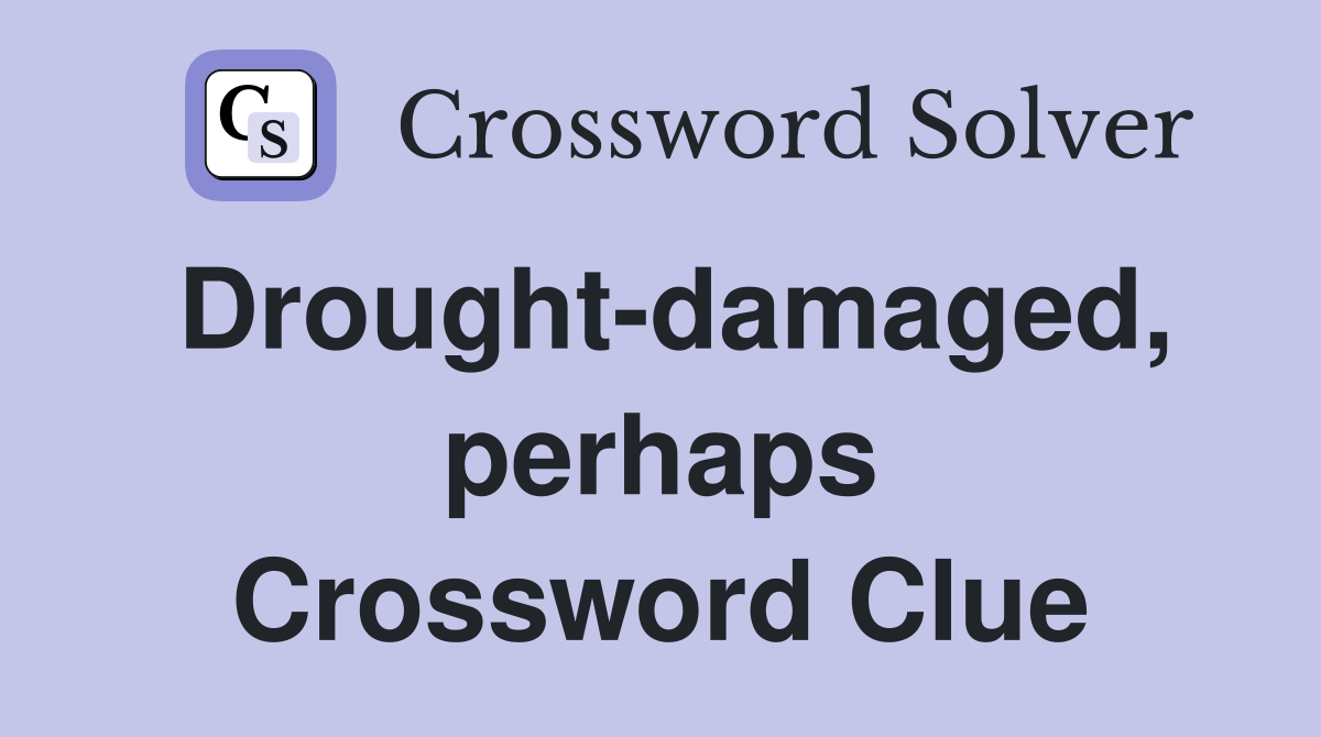 Drought-damaged, perhaps Crossword Clue