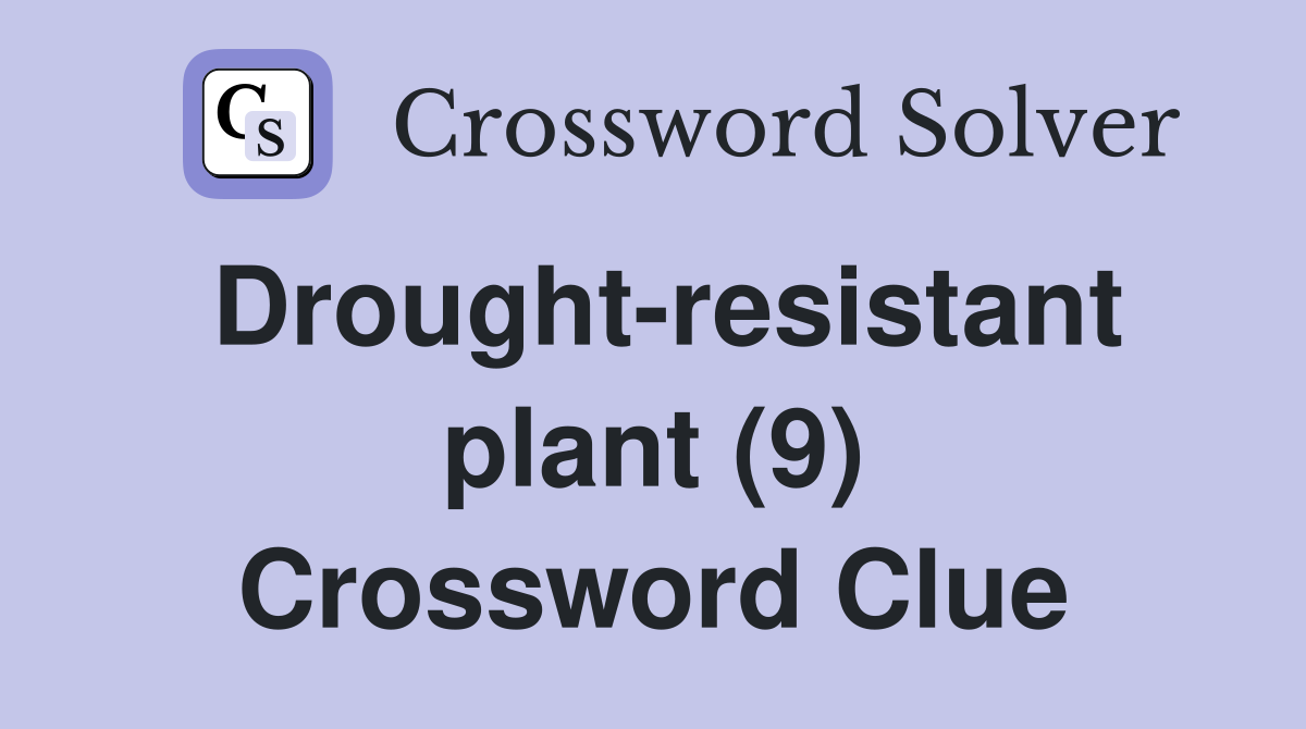 Drought-resistant plant (9) Crossword Clue