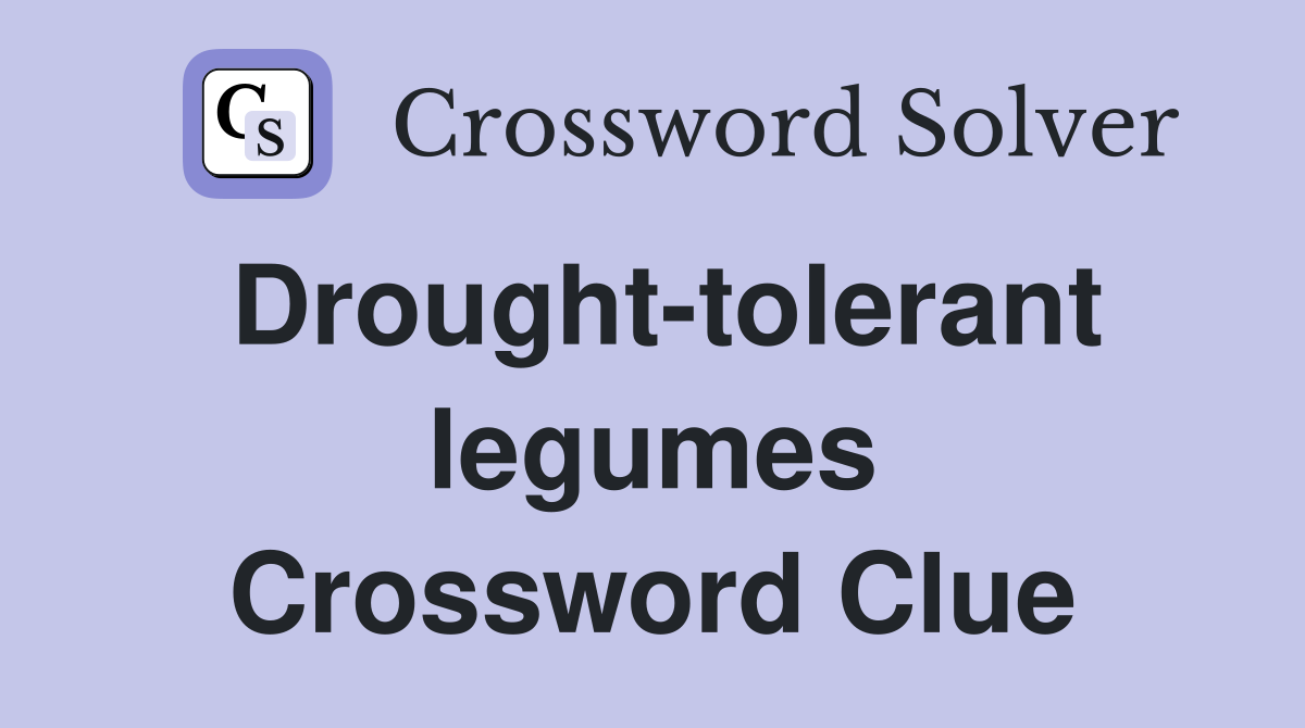 Drought-tolerant legumes Crossword Clue