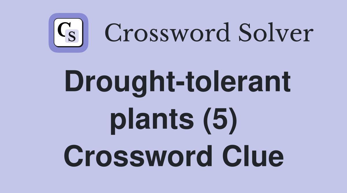 Drought-tolerant plants (5) Crossword Clue