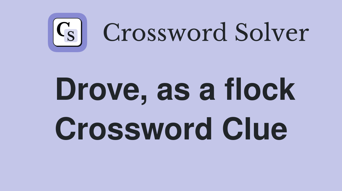 Drove, as a flock Crossword Clue