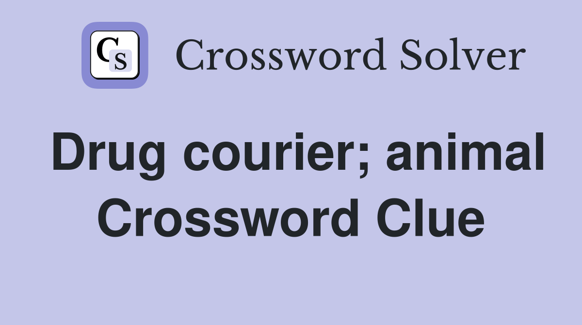 Drug courier; animal Crossword Clue