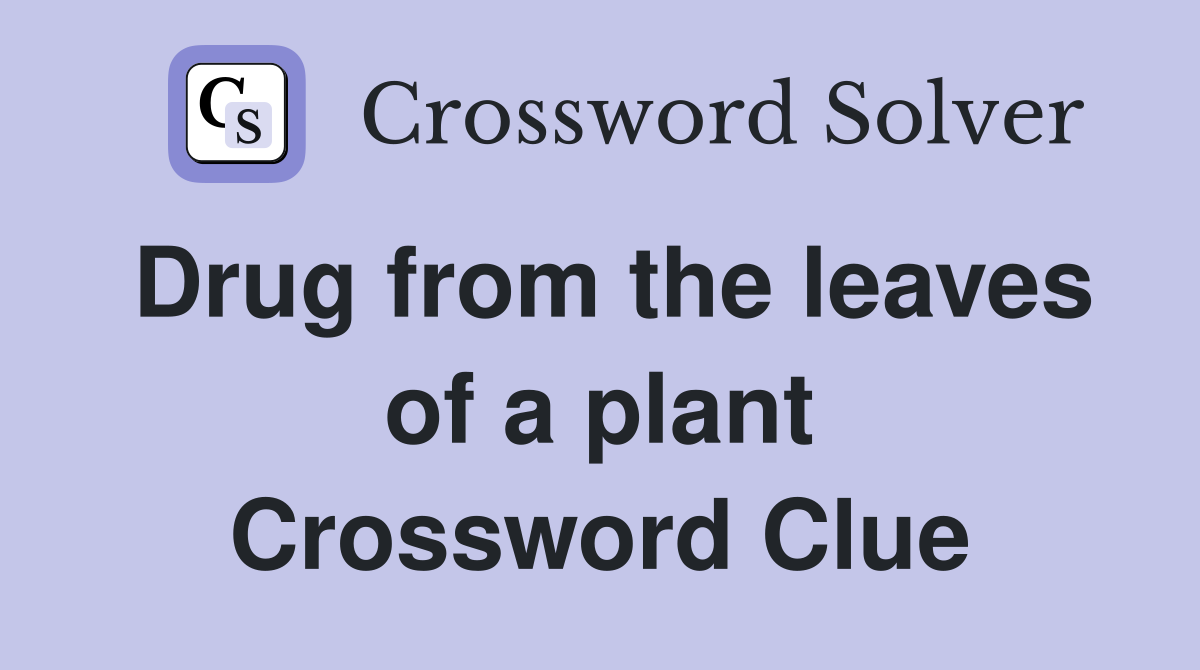 Drug from the leaves of a plant Crossword Clue
