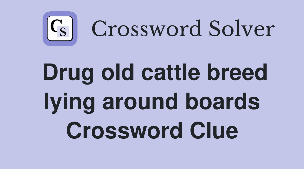 Drug old cattle breed lying around boards Crossword Clue