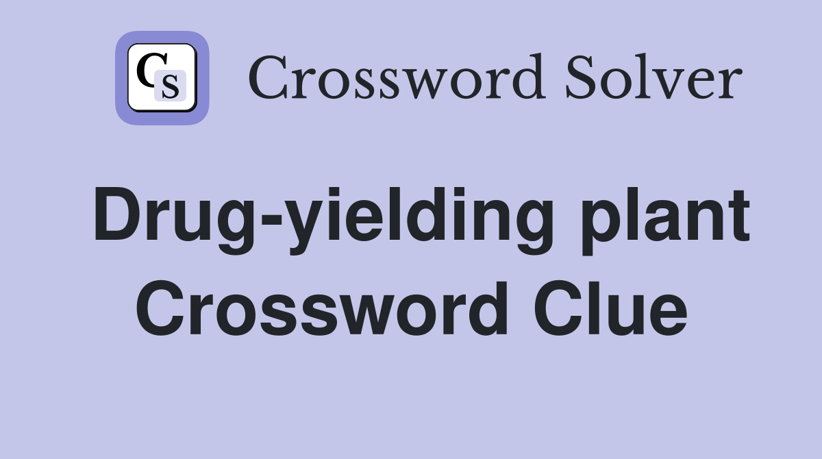 Drug-yielding plant Crossword Clue