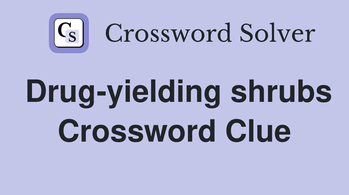 Drug-yielding shrubs Crossword Clue