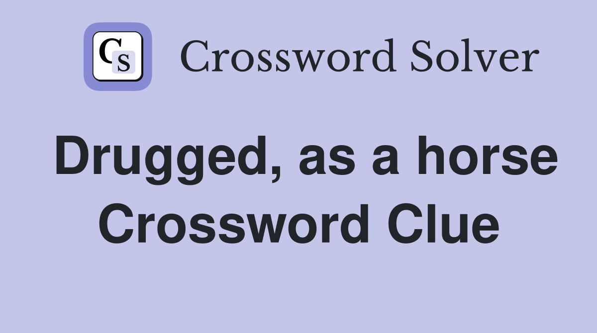 Drugged, as a horse Crossword Clue