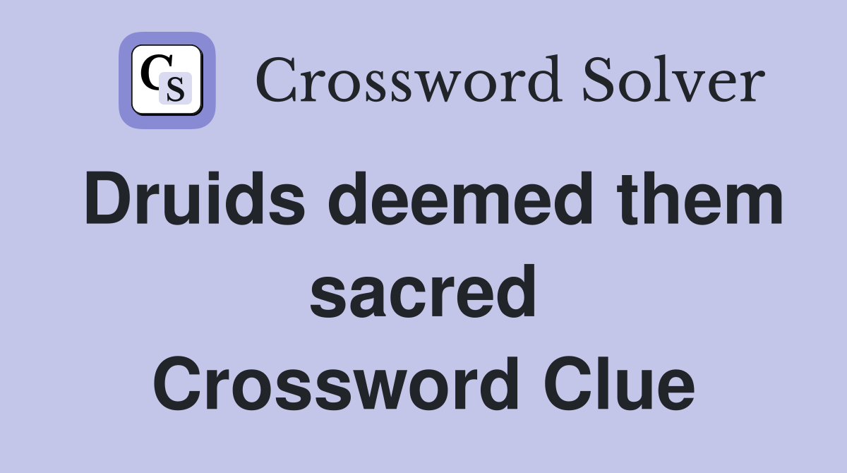 Druids deemed them sacred Crossword Clue