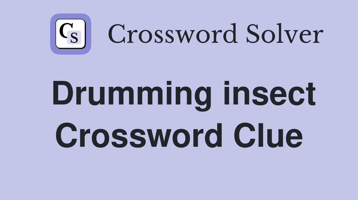 Drumming insect Crossword Clue