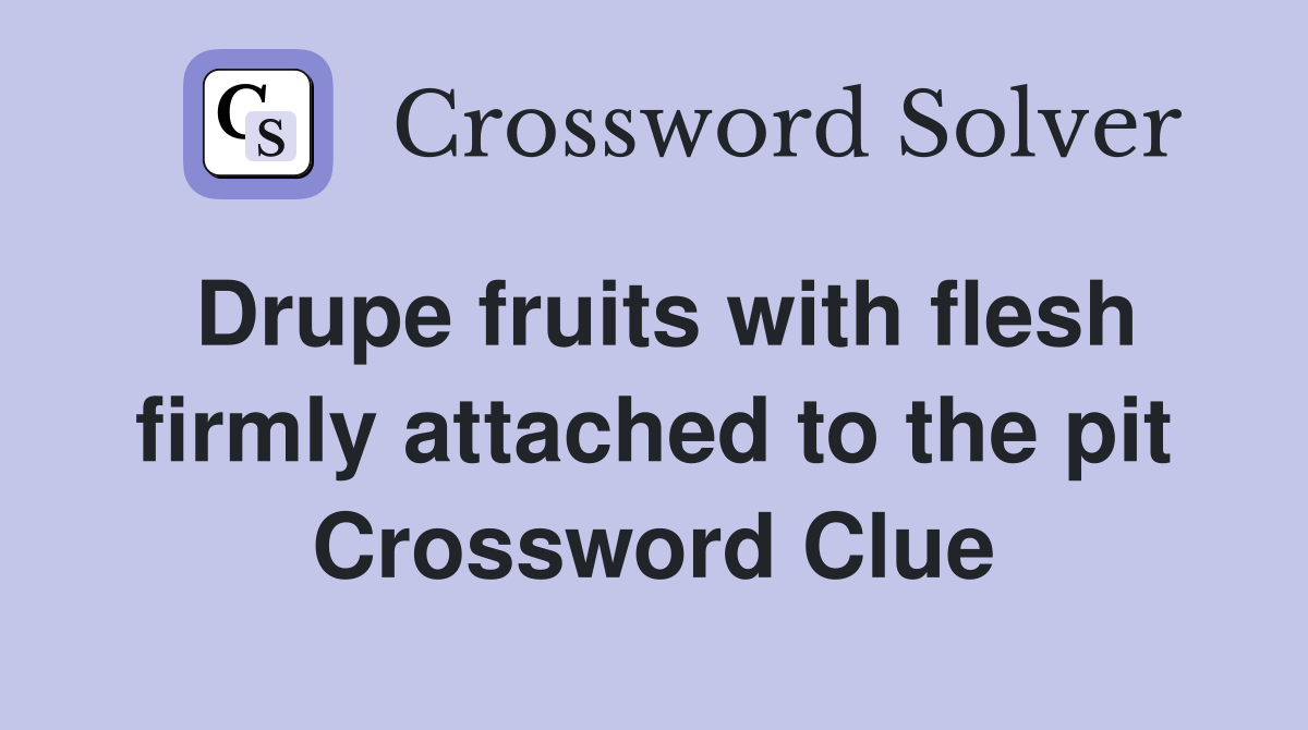 Drupe fruits with flesh firmly attached to the pit Crossword Clue