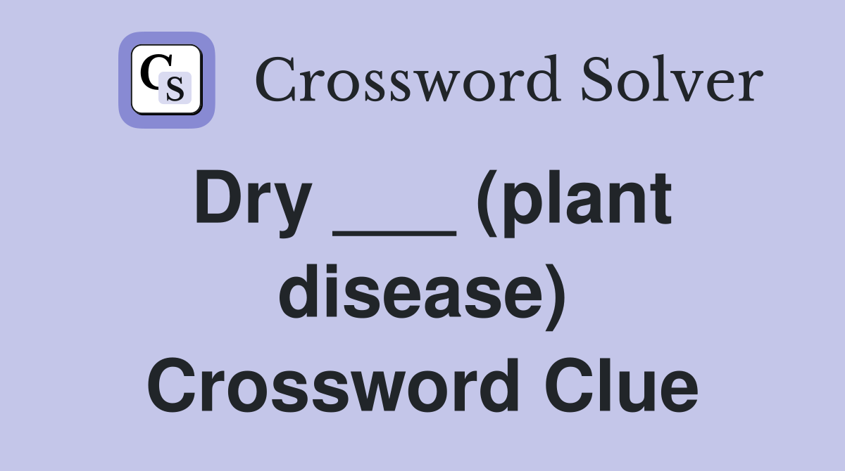 Dry ___ (plant disease) Crossword Clue
