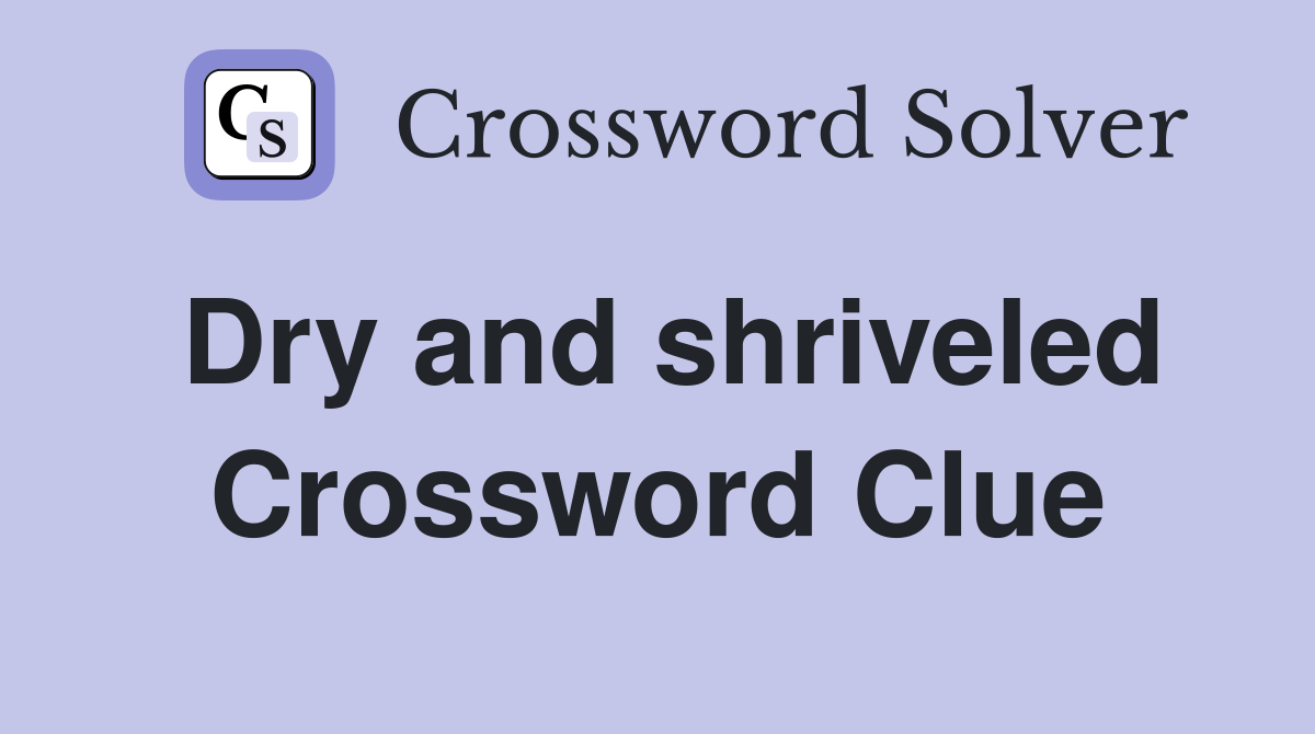 Dry and shriveled Crossword Clue
