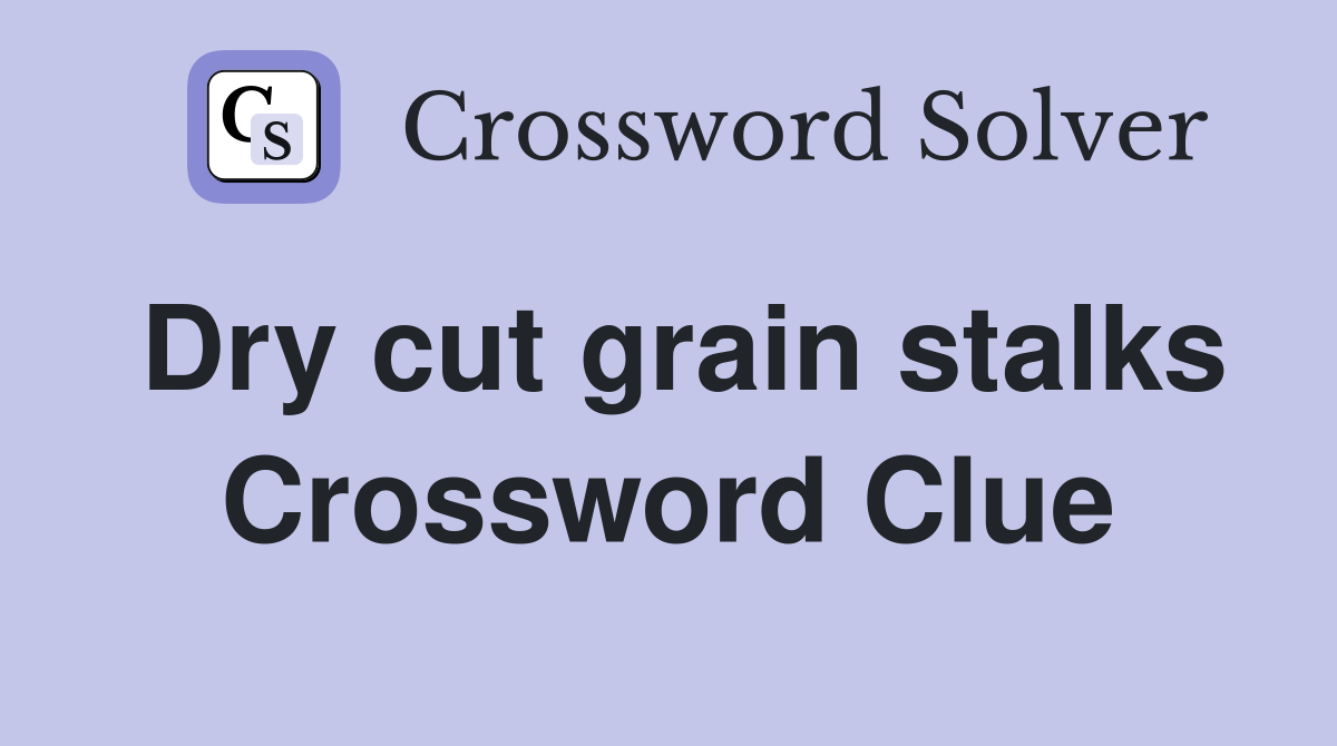 Dry cut grain stalks Crossword Clue
