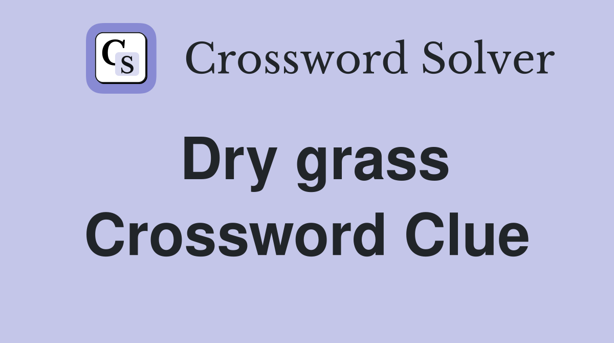 Dry grass Crossword Clue