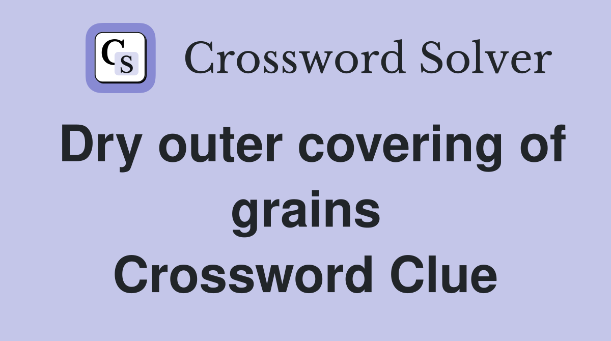 Dry outer covering of grains Crossword Clue