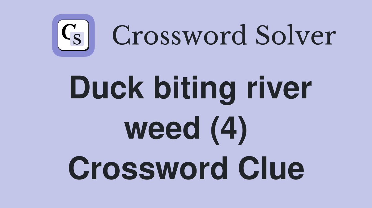 Duck biting river weed (4) Crossword Clue