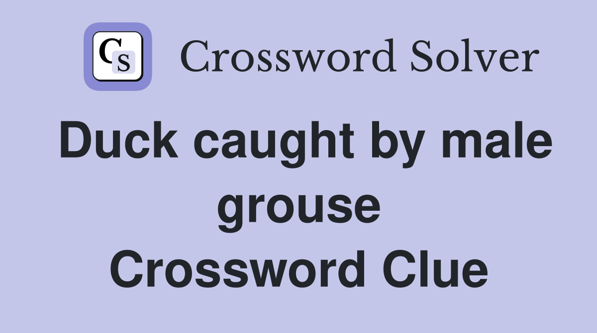 Duck caught by male grouse Crossword Clue