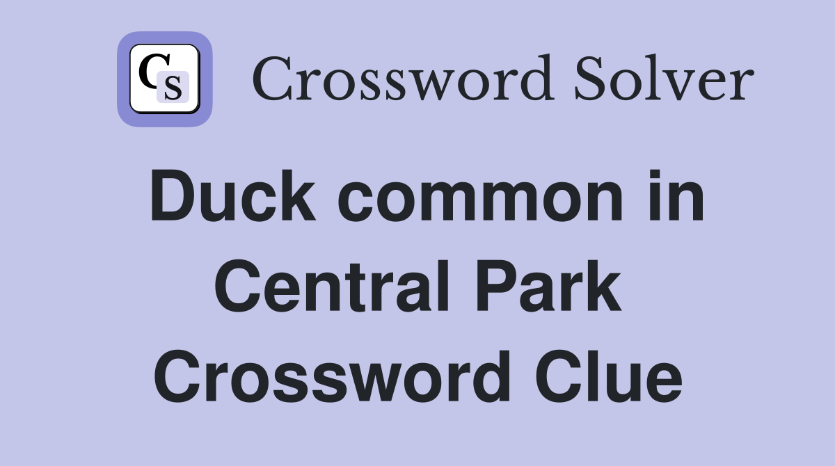 Duck common in Central Park Crossword Clue