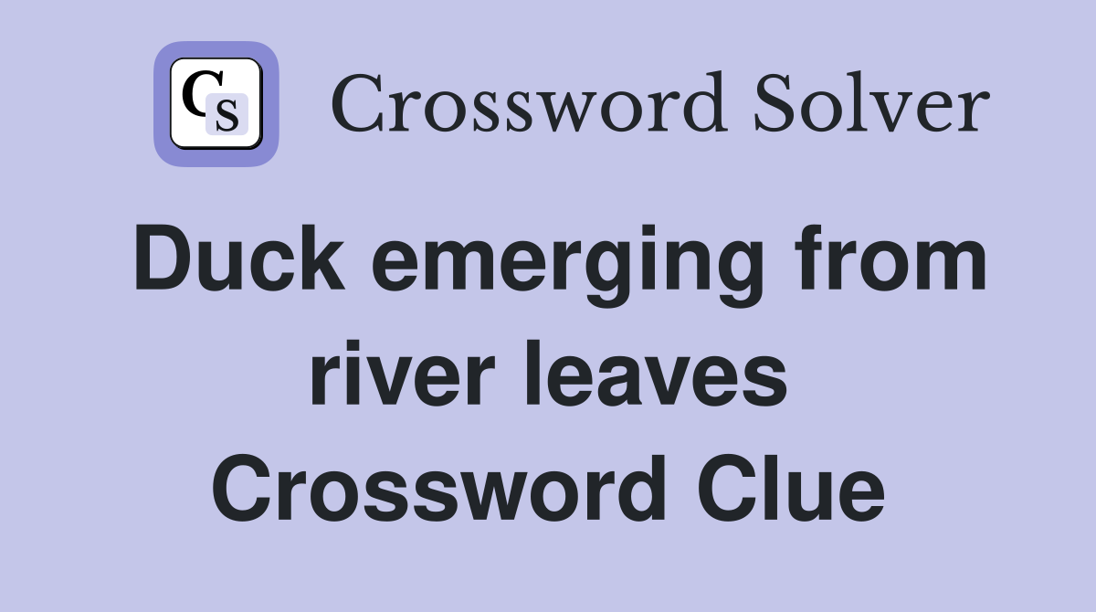 Duck emerging from river leaves Crossword Clue